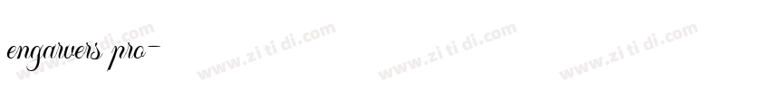 engarvers pro字体转换